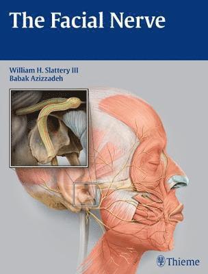 bokomslag Facial Nerve