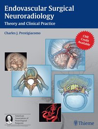 bokomslag Endovascular Surgical Neuroradiology