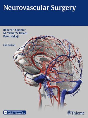 bokomslag Neurovascular Surgery