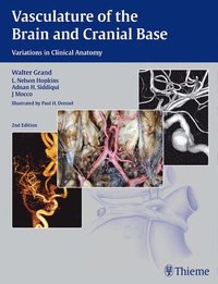 bokomslag Vasculature of the Brain and Cranial Base