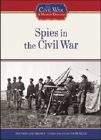 bokomslag Spies in the Civil War