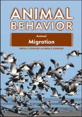 Animal Migration 1