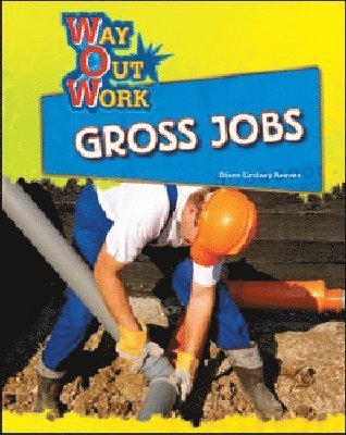 Diane Lindsey Reeves - Gross Jobs, Inbunden