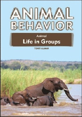 bokomslag Animal Life in Groups