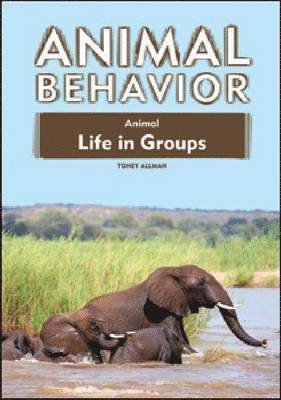 Animal Life in Groups 1