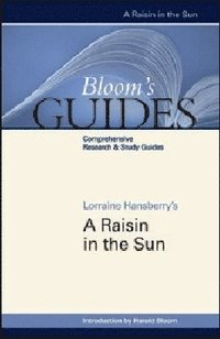 bokomslag Raisin in the Sun