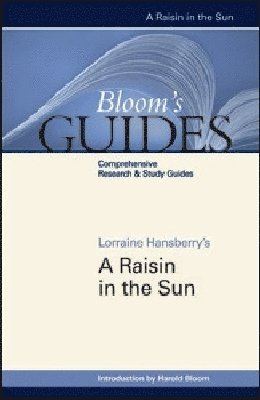 bokomslag Raisin in the Sun