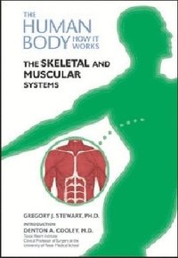 bokomslag Skeletal and Muscular Systems