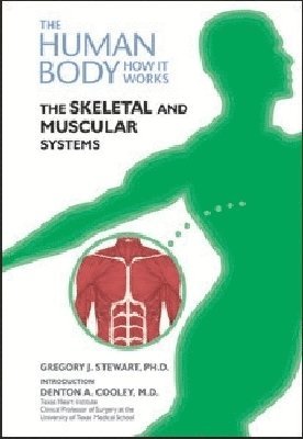 bokomslag Skeletal and Muscular Systems