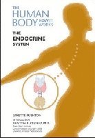 bokomslag Endocrine System