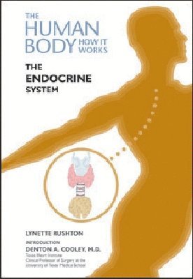 Endocrine System