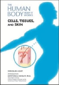 bokomslag Cells, Tissues, and Skin