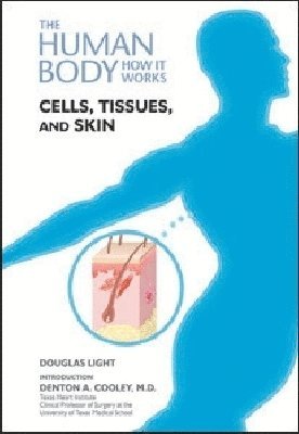 bokomslag Cells, Tissues, and Skin