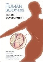 bokomslag Human Development