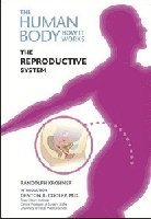 bokomslag Reproductive System