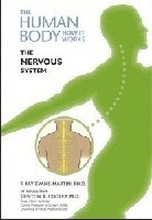 bokomslag Nervous System