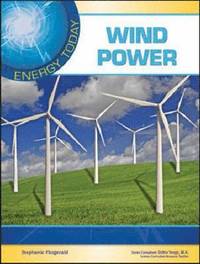 bokomslag Wind Power