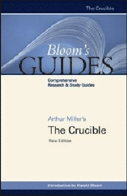 bokomslag Crucible
