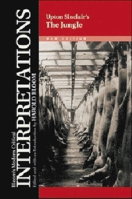 bokomslag JUNGLE - UPTON SINCLAIR, NEW EDITION