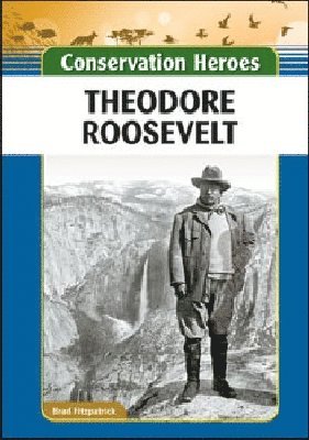 bokomslag Theodore Roosevelt