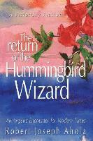 Return of the Hummingbird Wizard 1