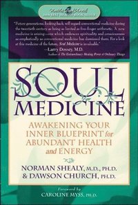 bokomslag Soul Medicine: Awakening Your Inner Blueprint For Abundant Health & Energy (Q)