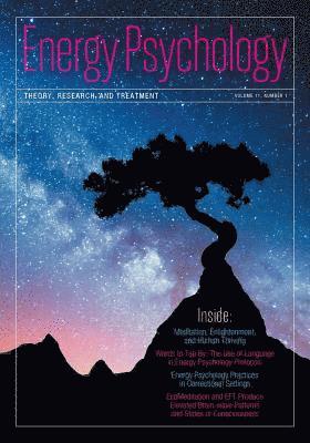 Dawson Church - Energy Psychology Journal, 11(1): Theory, Research, and Treatment, Häftad
