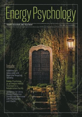 Dawson Church - Energy Psychology Journal 13(1), Häftad
