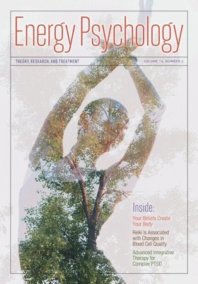 Dawson Church - Energy Psychology Journal 13(2), Häftad