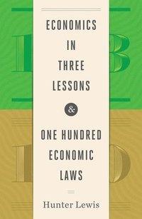 bokomslag Economics in Three Lessons and One Hundred Economics Laws