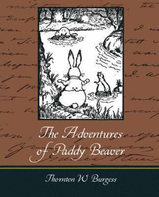 bokomslag Adventures of Paddy Beaver