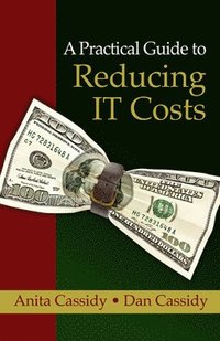 bokomslag Practical Guide to Reducing IT Costs, A