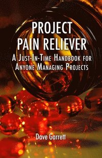 bokomslag Project Pain Reliever