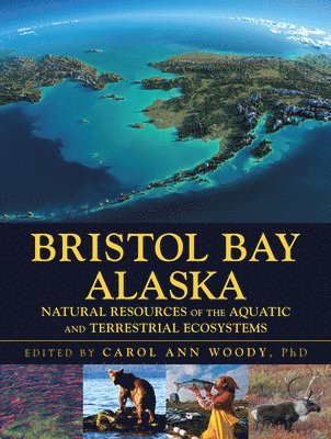 bokomslag Bristol Bay Alaska