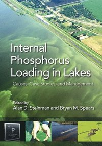 bokomslag Internal Phosphorus Loading in Lakes