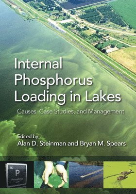 bokomslag Internal Phosphorus Loading in Lakes