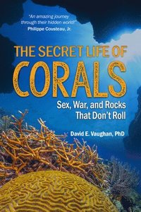 bokomslag Secret Life of Corals