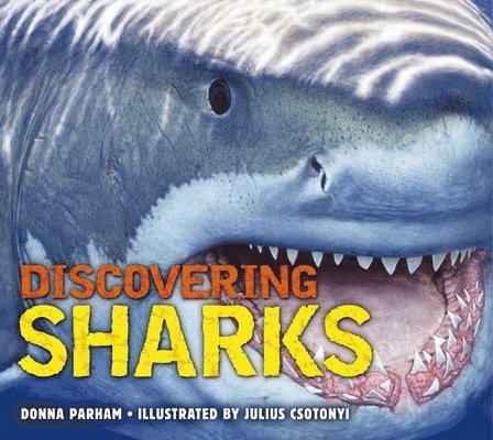Discovering Sharks 1