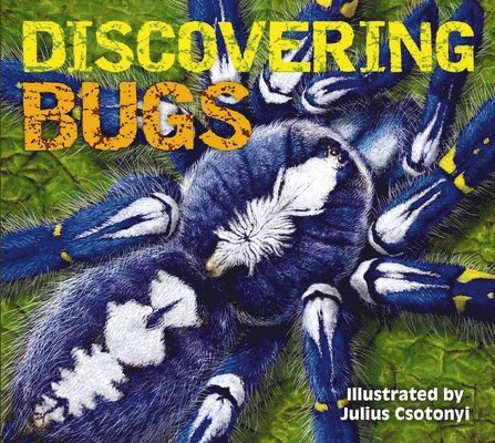 Discovering Bugs 1