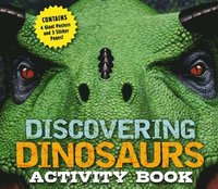bokomslag Discovering Dinosaurs Activity Book
