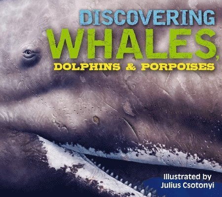 Discovering Whales, Dolphins and   Porpoises 1