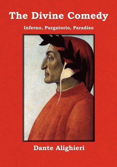 bokomslag Divine Comedy