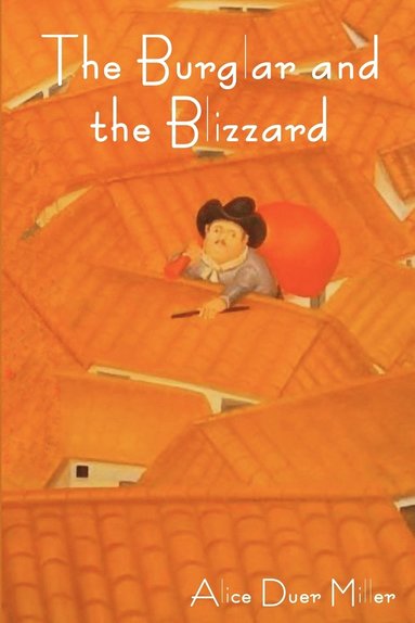 bokomslag Burglar and the Blizzard