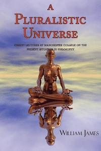 bokomslag Pluralistic Universe
