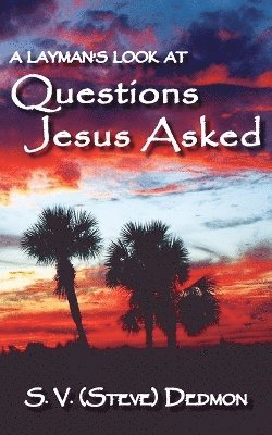 Stephen V Dedmon, Stephen V. Dedmon - Layman's Look at Questions Jesus Asked, Häftad