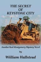 bokomslag The Secret of Keystone City