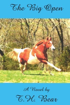 T H Bear, T. H. Bear, T.H. Bear - Big Open, Häftad