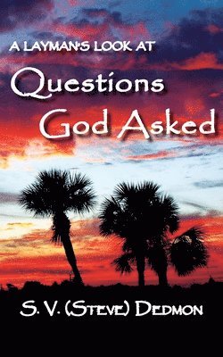 bokomslag A Layman's Look at Questions God Asked