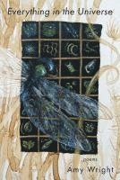 Amy Wright - Everything in the Universe, Häftad
