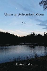 bokomslag Under an Adirondack Moon